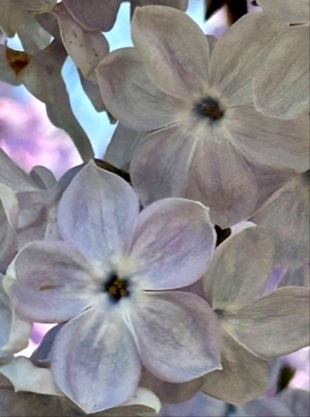 thumbnail_IMG_6826 (2)