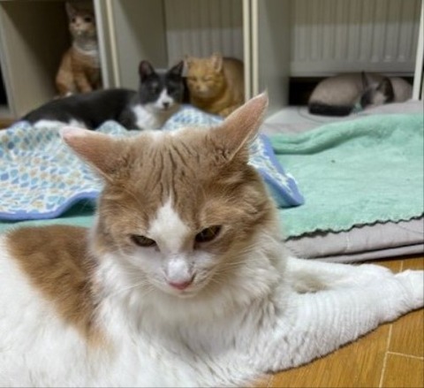 thumbnail_IMG_5317 (1)