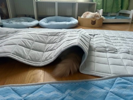 thumbnail_IMG_9352