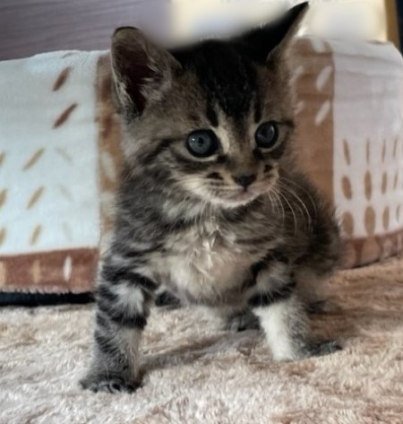 thumbnail_IMG_2540 (1)