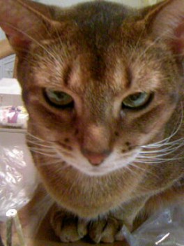 ヴィヴィアン５月１４日