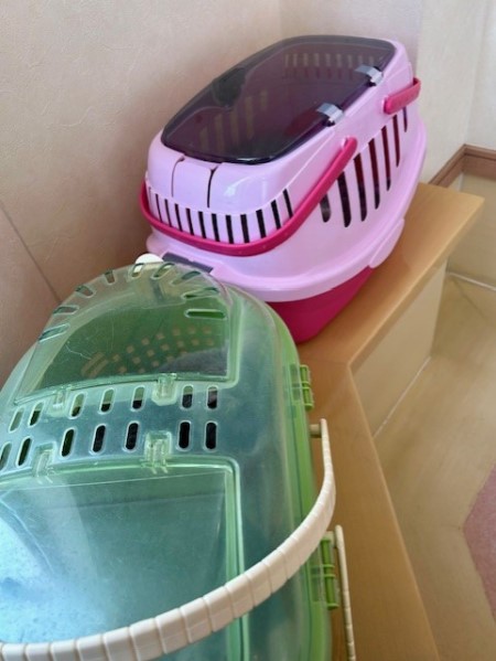 thumbnail_IMG_5252 (2)