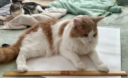 thumbnail_IMG_3022 (1)