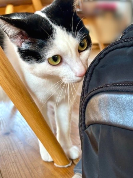 fed3550b-c24d-4a6f-bf71-a3fb6686657a