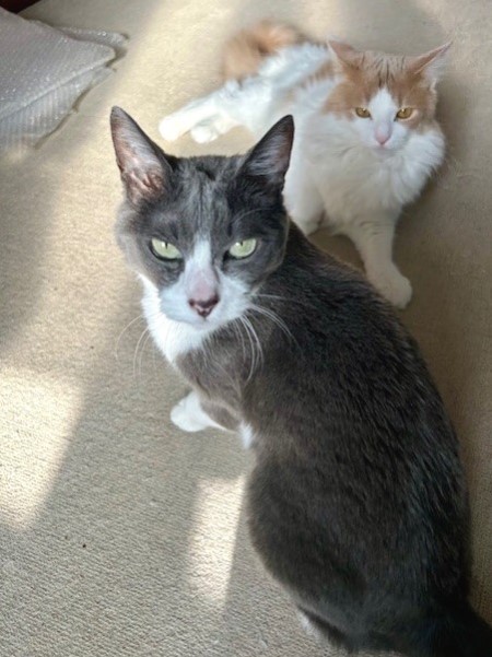 thumbnail_IMG_4633 (2)