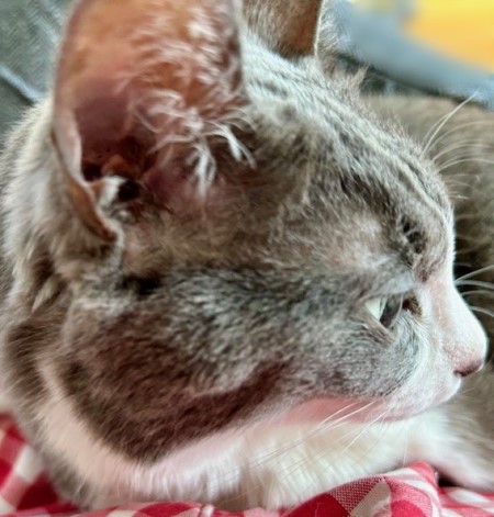 thumbnail_IMG_8475 (2)