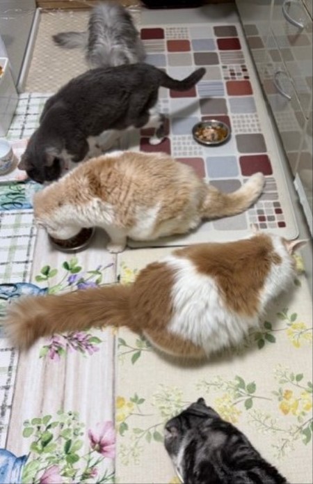 01ee3de2-a5a3-44ab-b4de-5e727231e833