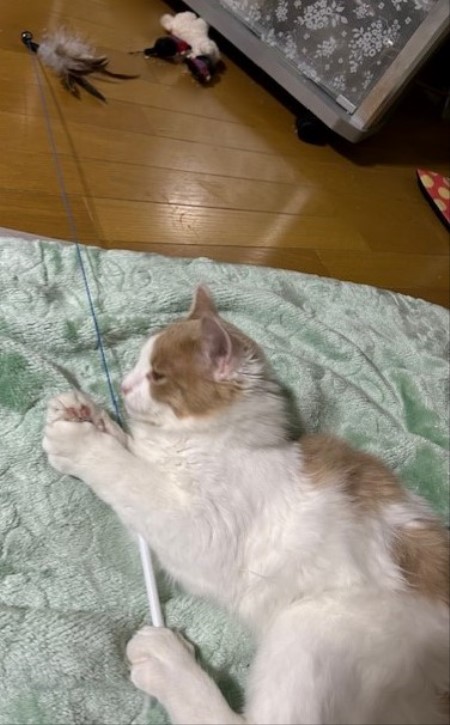 thumbnail_IMG_7469 (1)