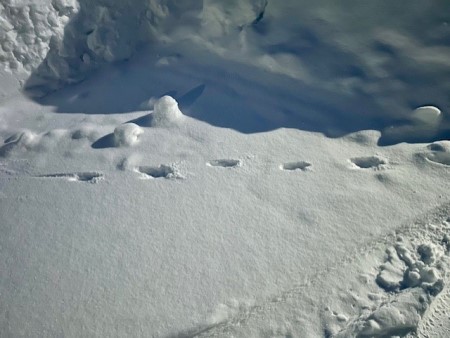 3f33a6ae-8e19-4831-90d1-61eda6fa1610