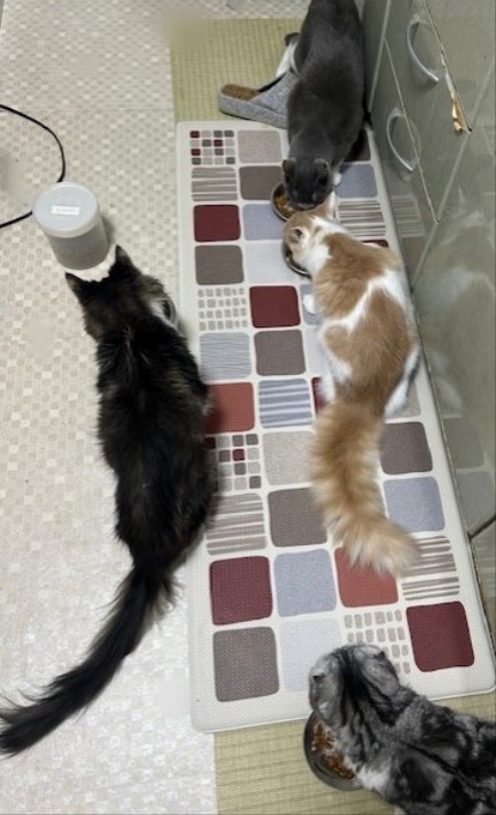 thumbnail_IMG_5493 (1)