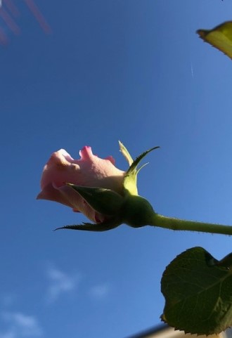 IMG_0763