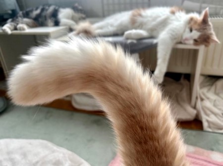 923990ff-071c-4a58-bee3-0a9800a76ab0