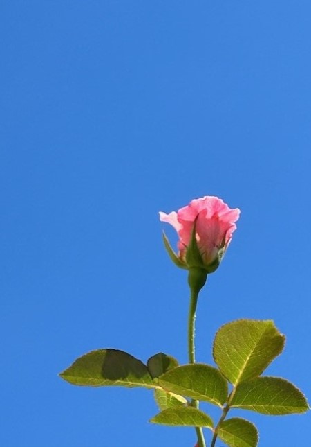 thumbnail_IMG_6046