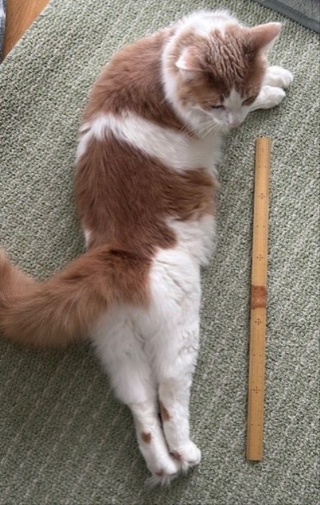 thumbnail_IMG_5573 (2)