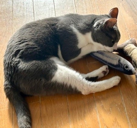 thumbnail_IMG_0510 (2)