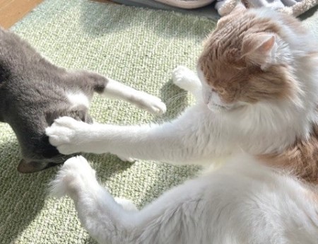 da8a8c48-631c-4b10-bbd2-9af3a7cbf240