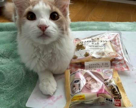 thumbnail_IMG_5724 (1)