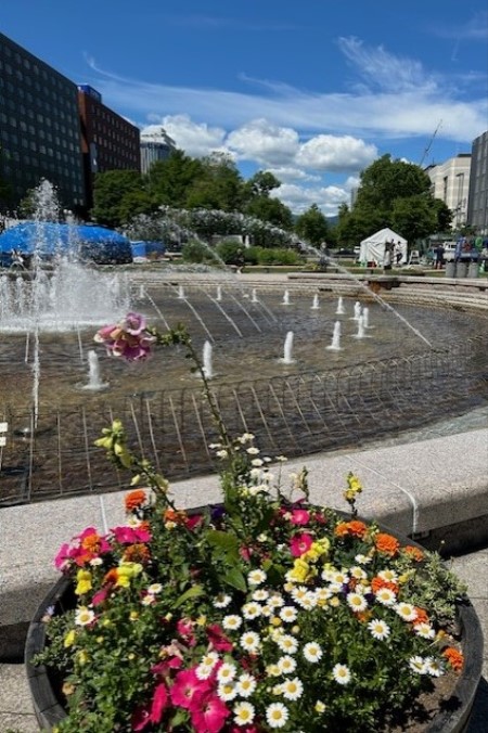 thumbnail_IMG_1734 (1)