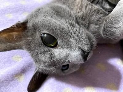 3157
