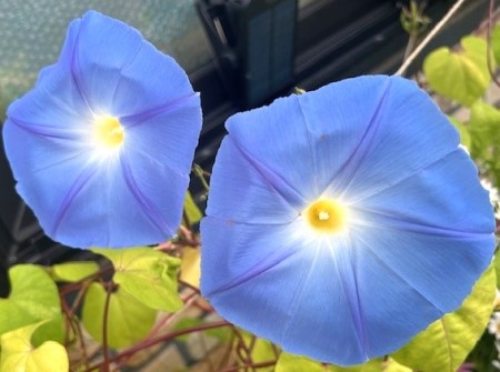 thumbnail_IMG_3167 (1)