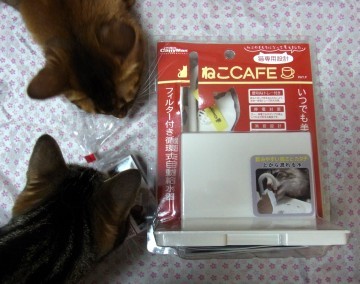 「猫だらけ」
