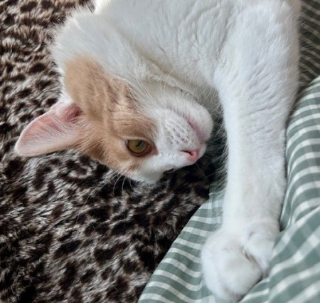 thumbnail_IMG_8619 (1)