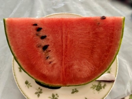 thumbnail_IMG_2029