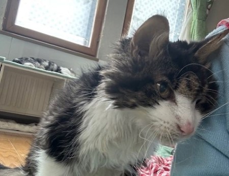 thumbnail_IMG_7926 (1)