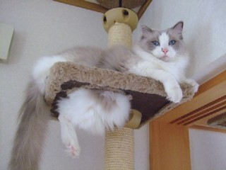 2007_10070036