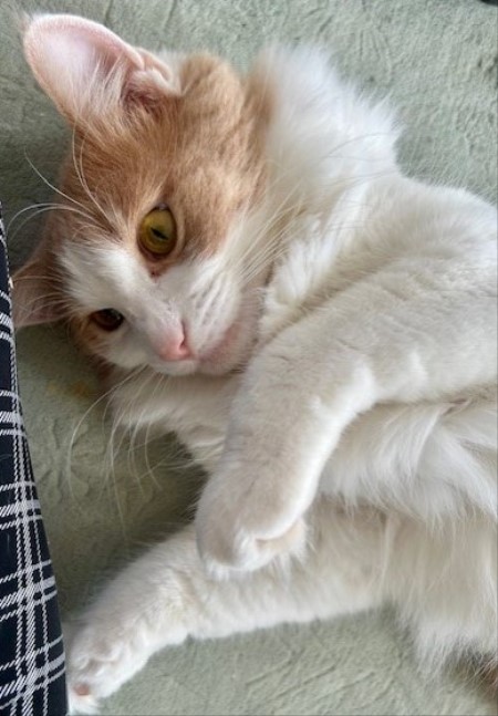 thumbnail_IMG_3601 (1)