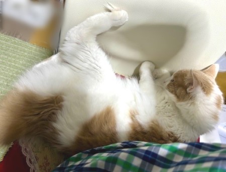 68e9f57d-9838-4a3a-9c94-361fde6731aa