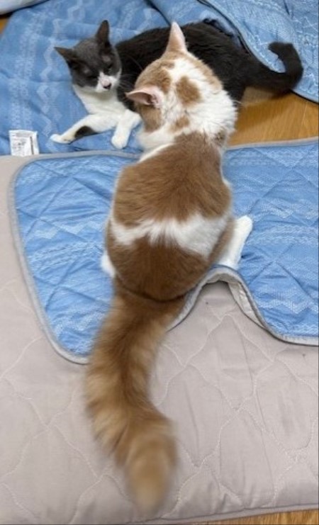 thumbnail_IMG_4088 (1)