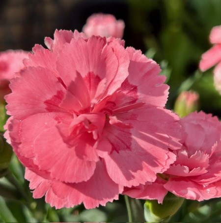 thumbnail_IMG_5543 (1)