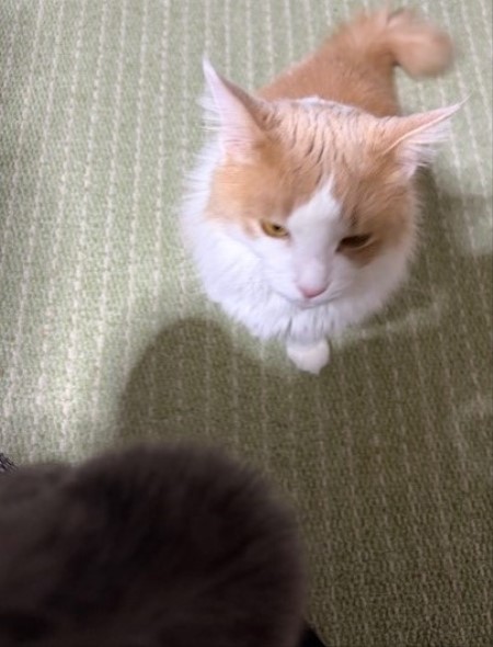 97fea4fd-39b7-43c8-bb22-569046b5498e