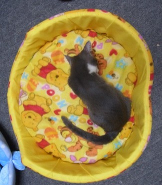 「猫だらけ」