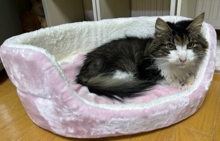 thumbnail_IMG_4143 (1)