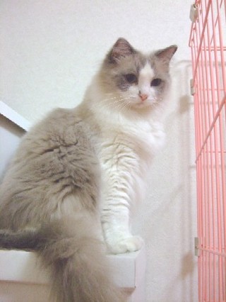 2007_10040026