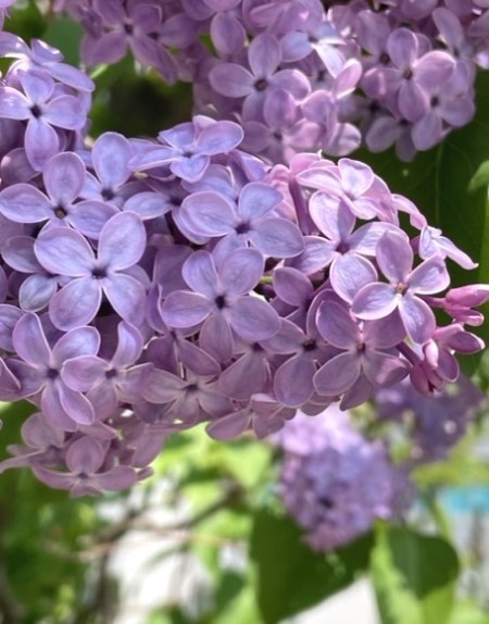 thumbnail_IMG_0778