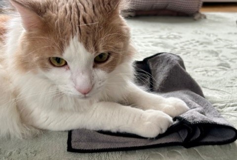 thumbnail_IMG_4874 (1)