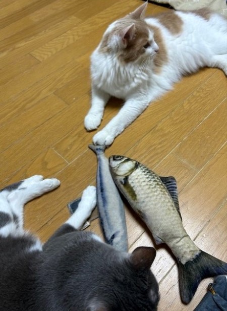 thumbnail_IMG_3080 (1)