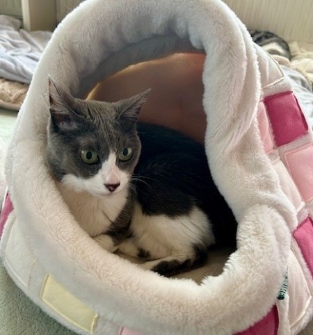 thumbnail_IMG_4750 (3)