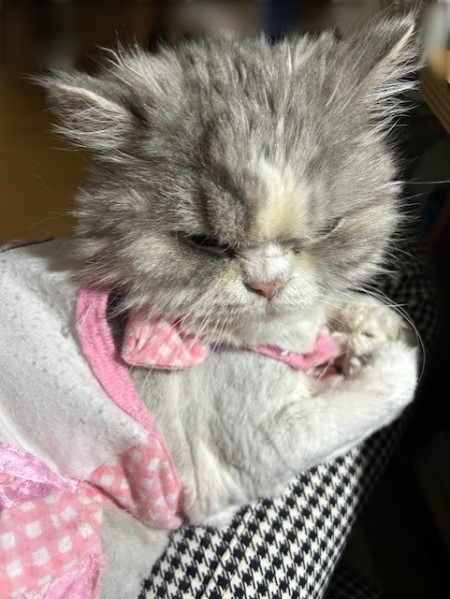 thumbnail_IMG_7121 (2)