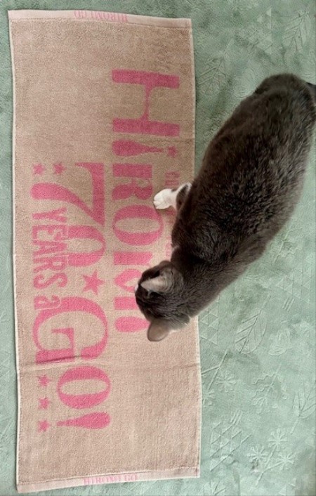 thumbnail_IMG_6685 (1)