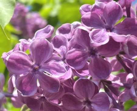 thumbnail_IMG_1324