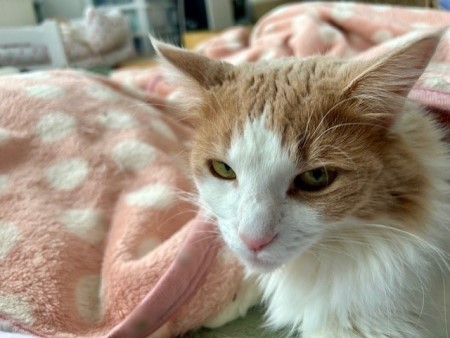 40ad351d-bb10-450d-9435-b4fe95c78aab