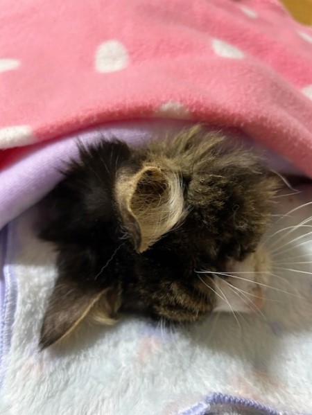 thumbnail_IMG_1302 (2)