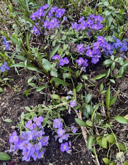 thumbnail_IMG_5649 (1)