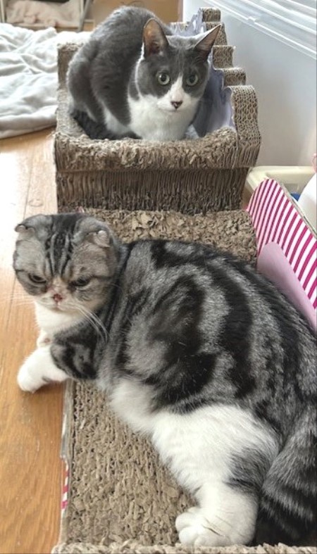 thumbnail_IMG_5860 (1)