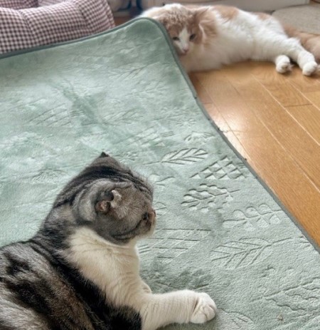 thumbnail_IMG_5177 (1)