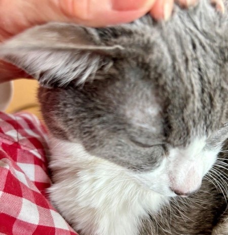 thumbnail_IMG_8477 (2)